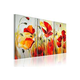 Canvastavla Röd äng 120x80 cm sp. z o. TM-N2504-MK