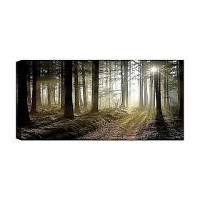 Canvastavla YTY & Nature Flerfärgad 120x50 cm 451ERN1413