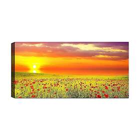 Canvastavla YTY Floral & Botanical Flerfärgad 120x50 cm 451ERN1184