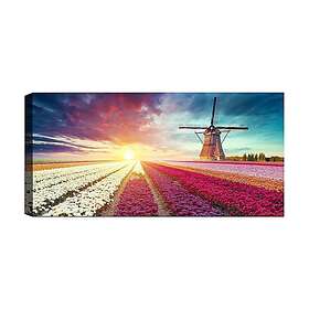 Canvastavla YTY Floral & Botanical Flerfärgad 120x50 cm 451ERN1711