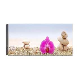 Canvastavla YTY Floral & Botanical Flerfärgad 120x50 cm 451ERN1594