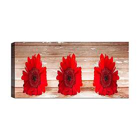 Canvastavla YTY Floral & Botanical Flerfärgad 120x50 cm 451ERN1683
