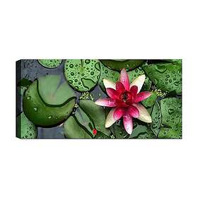 Canvastavla YTY Floral & Botanical Flerfärgad 120x50 cm 451ERN1689