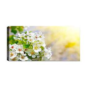 Canvastavla YTY Floral & Botanical Flerfärgad 120x50 cm 451ERN1810