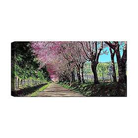 Canvastavla YTY & Nature Flerfärgad 120x50 cm 451ERN1808