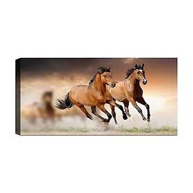 Canvastavla YTY Flerfärgad 120x50 cm 451ERN1813