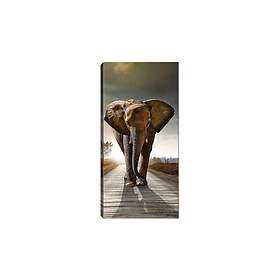 Canvastavla DKY Flerfärgad 50x120 cm 451ERN1995