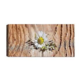 Canvastavla YTY Floral & Botanical Flerfärgad 120x50 cm 451ERN1815