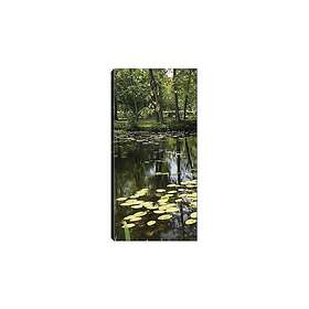 Canvastavla DKY Floral & Botanical Flerfärgad 50x120 cm 451ERN2145