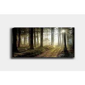 Dekorativ Canvastavla 70x100 cm Flerfärgad 441HPE2104