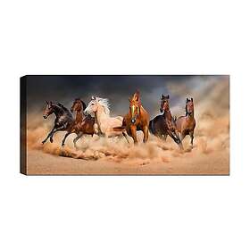 Canvastavla YTY Flerfärgad 120x50 cm 451ERN1516