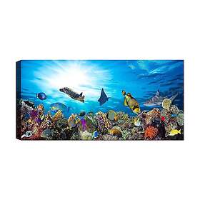 Canvastavla YTY & Beach Flerfärgad 120x50 cm 451ERN1487