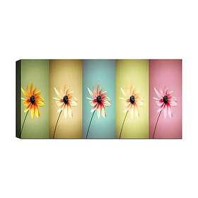 Canvastavla YTY Floral & Botanical Flerfärgad 120x50 cm 451ERN1538