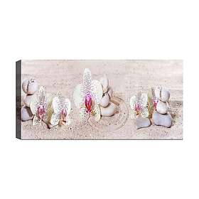 Canvastavla YTY Floral & Botanical Flerfärgad 120x50 cm 451ERN1598