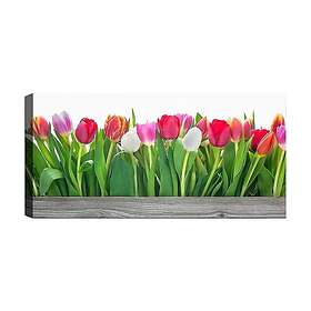 Canvastavla YTY Floral & Botanical Flerfärgad 120x50 cm 451ERN1567