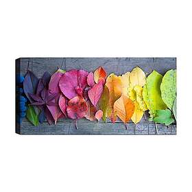 Canvastavla YTY Floral & Botanical Flerfärgad 120x50 cm 451ERN1380