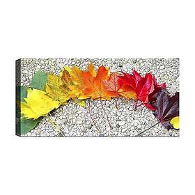 Canvastavla YTY Floral & Botanical Flerfärgad 120x50 cm 451ERN1586