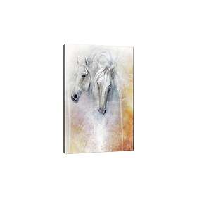 Dekorativ Canvastavla 70x100 cm Flerfärgad 441HPE1325