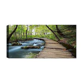 Canvastavla YTY & Nature Flerfärgad 120x50 cm 451ERN1213