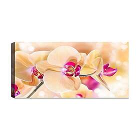 Canvastavla YTY Floral & Botanical Flerfärgad 120x50 cm 451ERN1599