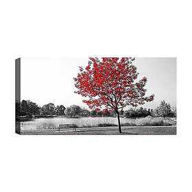 Canvastavla YTY Floral & Botanical Flerfärgad 120x50 cm 451ERN1407