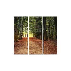 Dekorativ MDF-målning 3-Delar 20x50 cm Flerfärgad 553BNC2751