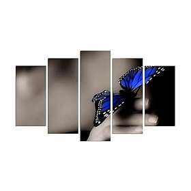 Dekorativ MDF-målning 5-Delar 20x60 cm Flerfärgad 223CHR1965