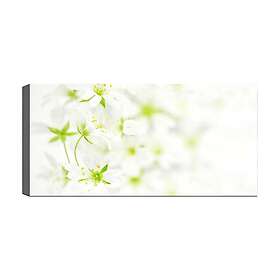 Canvastavla YTY Floral & Botanical Flerfärgad 120x50 cm 451ERN1819