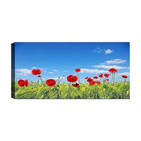 Canvastavla YTY Floral & Botanical Flerfärgad 120x50 cm 451ERN1803