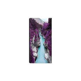 Canvastavla DKY & Nature Flerfärgad 50x120 cm 451ERN2030