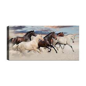 Canvastavla YTY Flerfärgad 120x50 cm 451ERN1141