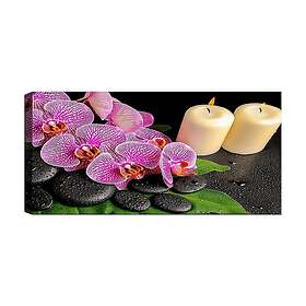 Canvastavla YTY Floral & Botanical Flerfärgad 120x50 cm 451ERN1794