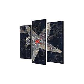 Dekorativ Canvastavla 3-Delar 45x20 cm Flerfärgad 257MJS1464