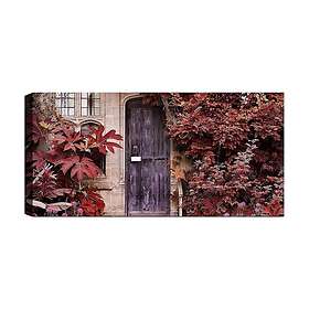 Canvastavla YTY Floral & Botanical Flerfärgad 120x50 cm 451ERN1144