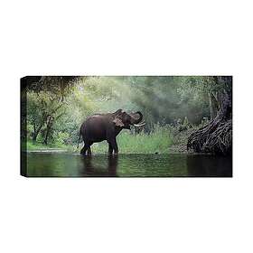 Canvastavla YTY Flerfärgad 120x50 cm 451ERN1121