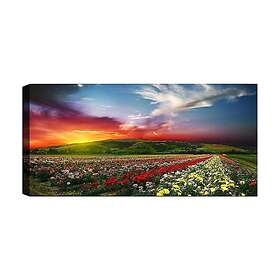 Canvastavla YTY Floral & Botanical Flerfärgad 120x50 cm 451ERN1728