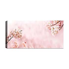 Canvastavla YTY Floral & Botanical Flerfärgad 120x50 cm 451ERN1261