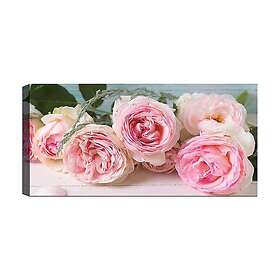 Canvastavla YTY Floral & Botanical Flerfärgad 120x50 cm 451ERN1735
