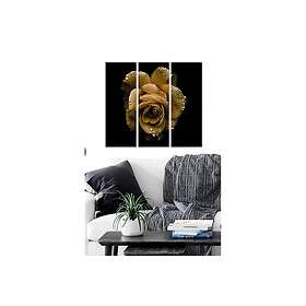 Dekorativ MDF-målning 3-Delar 20x50 cm Flerfärgad 553BNC3363