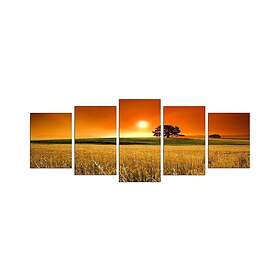 Dekorativ MDF-målning 5-Delar 20x60 cm Flerfärgad 223CHR2998