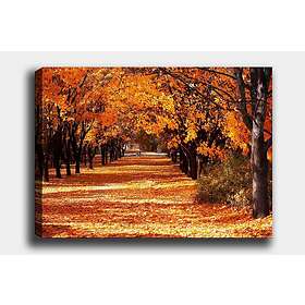 Dekorativ Canvastavla 70x100 cm Flerfärgad 441HPE2252