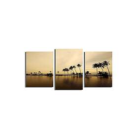 Dekorativ Canvastavla 3-Delar 45x20 cm Flerfärgad 237HRZ4245