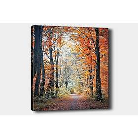 Dekorativ Canvastavla 70x100 cm Flerfärgad 441HPE1145