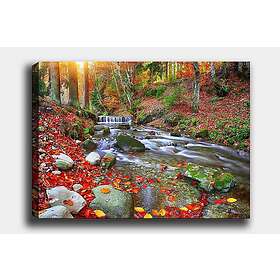 Dekorativ Canvastavla 70x100 cm Flerfärgad 441HPE2484