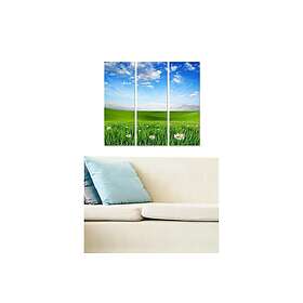 Dekorativ MDF-målning 3-Delar 20x50 cm Flerfärgad 553BNC2926