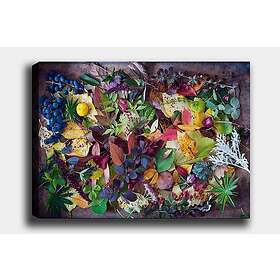Dekorativ Canvastavla 70x100 cm Flerfärgad 441HPE2474
