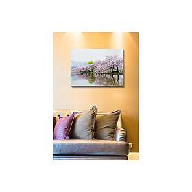 Dekorativ Canvastavla 50x70 cm Flerfärgad 529TCR1368