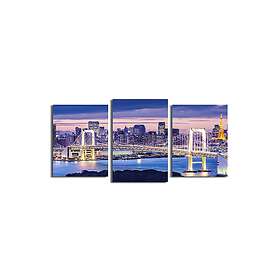 Dekorativ Canvastavla 3-Delar 45x20 cm Flerfärgad 237HRZ4228