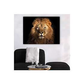 Dekorativ Canvastavla 70x100 cm Flerfärgad 441HPE2576