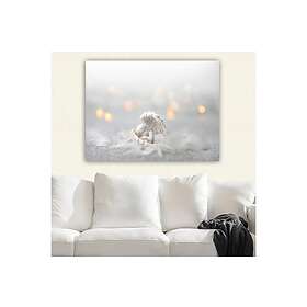 Dekorativ Canvastavla 70x100 cm Flerfärgad 441HPE2519